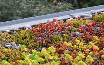 the cost of Cambridge Batch green roof installation
