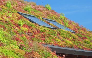 Cambridge Batch living roof systems