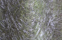 Cambridge Batch fibreglass roof work